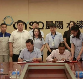 河北晨陽集團人力資源改善項目